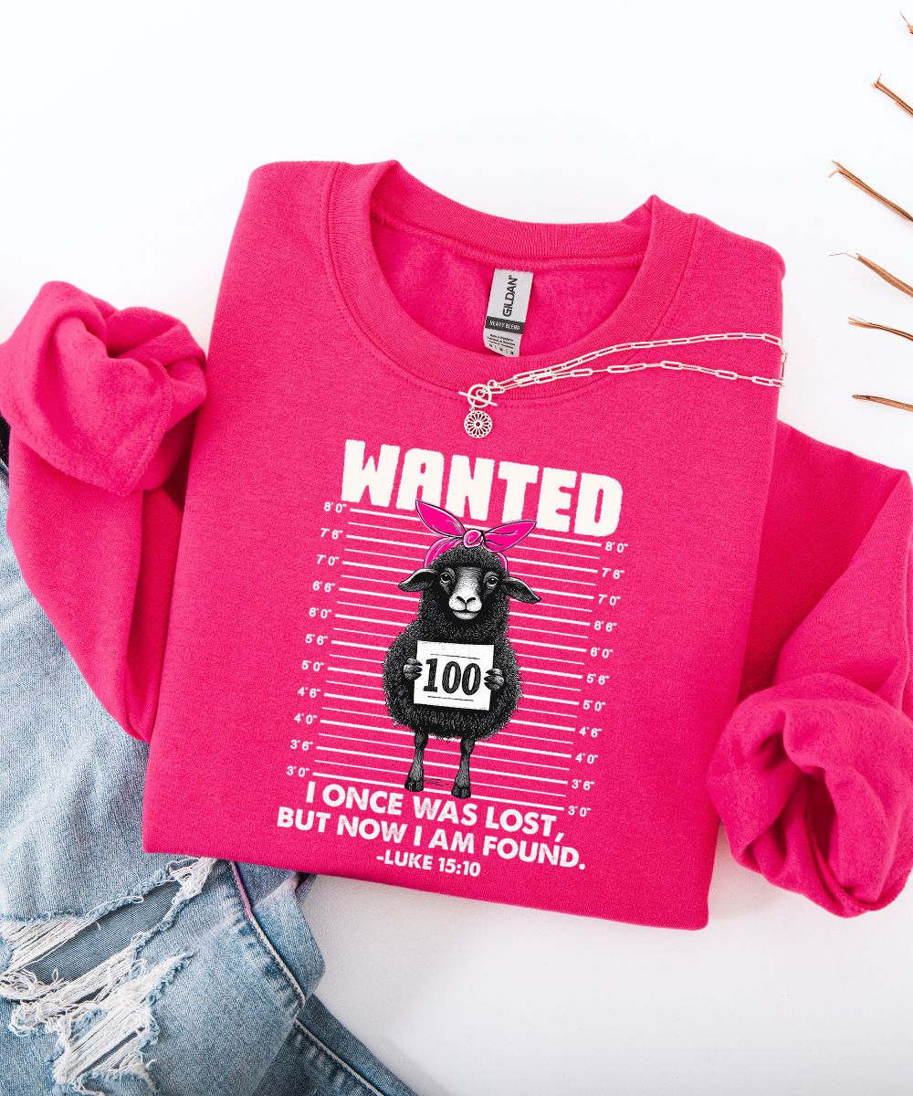 Lost Sheep Sweatshirt